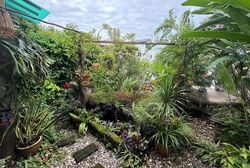 Pasir Ris Beach Park (D18), Semi-Detached #471957321